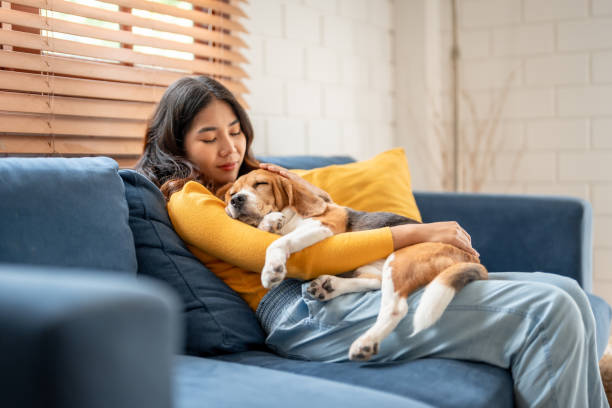 Istockphoto 2163164187 612x612